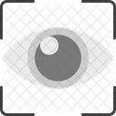 Biometric Eye Observe Icon
