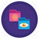 Biometric Data Biometric Eye Icône