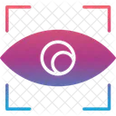 Biometrics Eye Human Icon