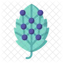 Biomimetic  Icon
