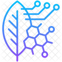 Biomimetique Bio Feuille Icône