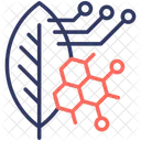 Biomimetique Bio Feuille Icône