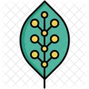 Biomimicry  Icon