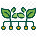 Biotechnology Renewable Research Icon