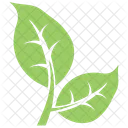 Bipartite Leaf Icon