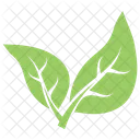 Bipartite Leaf Icon