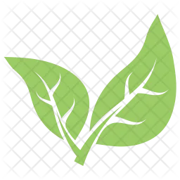 Bipartite Leaf  Icon