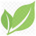 Bipartite Leaf  Icon