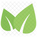 Bipartite Leaf  Icon