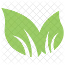 Bipartite Leaf  Icon