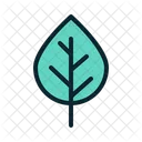 Beech Nature Leaf Icon