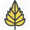 Birch Leaf Nature Icon