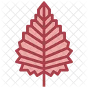 Birch  Icon