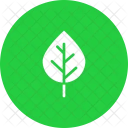 Birch  Icon