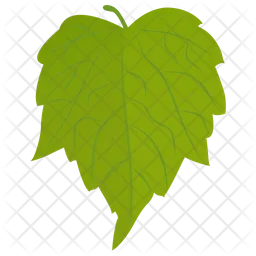 Birch Leaf  Icon