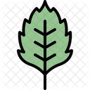 Birch leaf  Icon