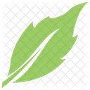 Birch Leaf Icon