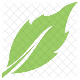Birch Leaf  Icon