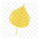 Leaf Ash Leaf Beech Leaf Icon