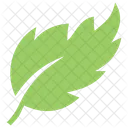 Birch Leaf  Icon