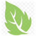 Birch Leaf  Icon