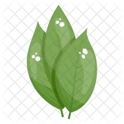 Birch Leaves  Icon