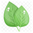 Birch Leaves  Icon