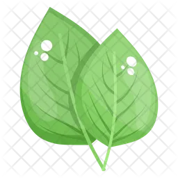 Birch Leaves  Icon