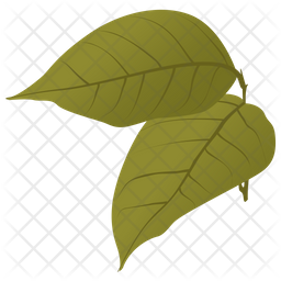 Birch Leaves Icon