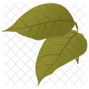 Birch Leaves Leaves Autumn Leaves Icon