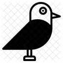Bird Bird Cage Poultry Icon