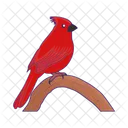Nature Animal Bird Icon