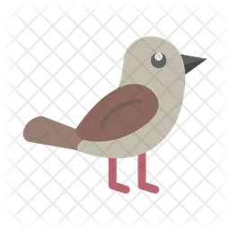 Bird  Icon