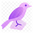 Bird Animal Nature Icon