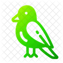 Bird Animal Springtime Icon