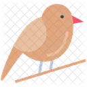 Bird  Icon