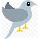 Bird  Icon