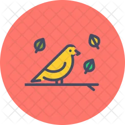 Bird  Icon