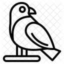 Bird  Icon
