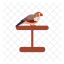 Bird Colorful Cute Icon