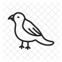 Bird  Icon