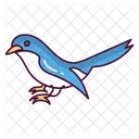Bird Animal Nature Icon