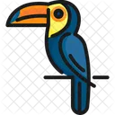 Bird Brazil Parrot Icon