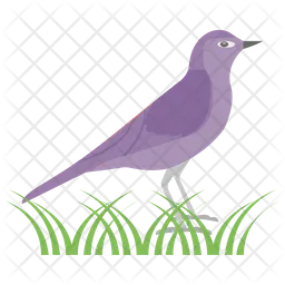 Bird  Icon