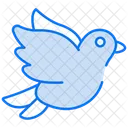 Bird  Icon