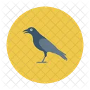 Crow Bird Fly Icon