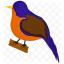 Bird Nature Pigeon Icon