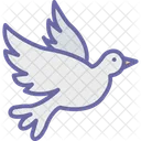 Bird Fly Seagull Icon