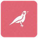 Bird Crow Fly Icon