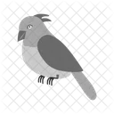 Bird Animal Wildlife Icon